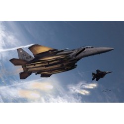 1/72 USAF F-15E "333th FIGHTER SQ" MODELER`S EDITION - ACA12550