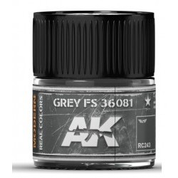 Grey FS 36081 10ml - AKIRC243