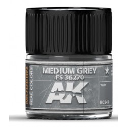 Medium Grey FS 36270 10ml - AKIRC249