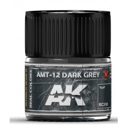 AMT-12 Dark Grey 10ml - AKIRC318