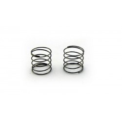 Guide spring x2 - AVS20556