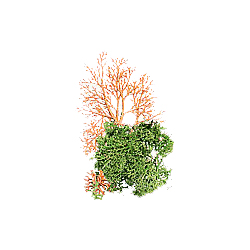 Albero completo - DOM3902