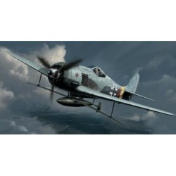 1/72 Focke-Wulf Fw190A-8 w/Bv246 Hagelkorn - HAS01984