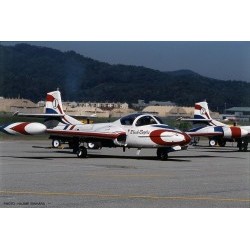 1/72 A-37B Dragonfly "Black Eagles" (2 kits) [Limited Edition] - HAS02072