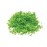Flock - Bright Green - HORR7161