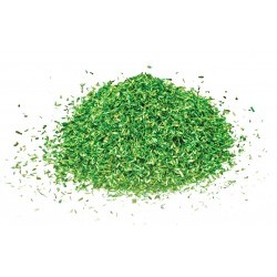 Scatter - Medium Green - HORR7173