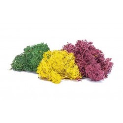 Lichen - Autumn Mix - HORR7196