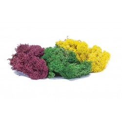 Lichen - Large Autumn Mix - HORR7197