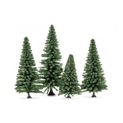 Large Fir Trees - HORR7206