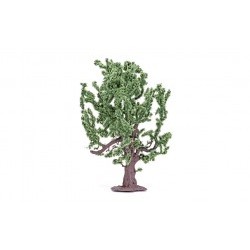 Oak Tree - HORR7209