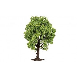 Fruit Tree - HORR7212