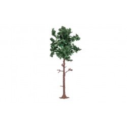 Large Pine Tree - HORR7228