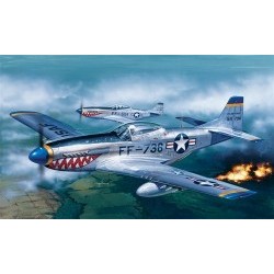 1/72 P-51D Mustang - ITA0086S