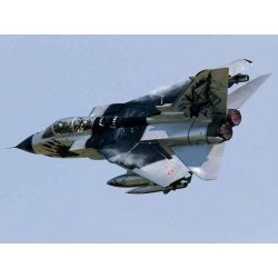 1/48 Tornado IDS Black Panthers - ITA2668S