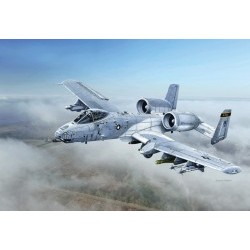 1/48 A-10C "Blacksnakes" - ITA2725S
