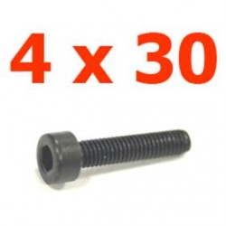 Viti cilindriche T.esag. 4 x 30 - JETVCE430