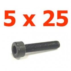 Viti cilindriche T.esag. 5 x 25 - JETVCE525