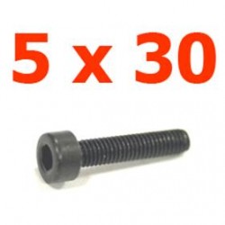 Viti cilindriche T.esag. 5 x 30 - JETVCE530