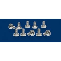SCREWS M2 x 3mm for LONG CAN MOTOR (10pcs) - NSR4851