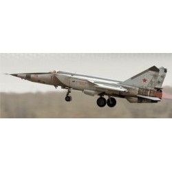 1/72 MiG-25 RBT - REV03878