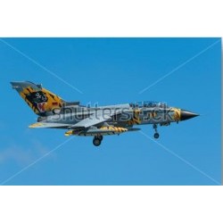 1/72 Tornado ECR "Tigermeet 2018 - REV03880
