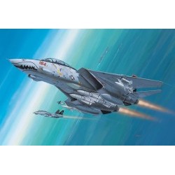1/144 F-14 D Super Tomcat (Military Aircraft) - REV04049