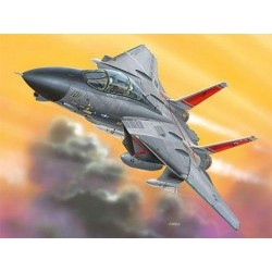 1/100 F-14A Tomcat - REV06450