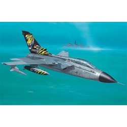 1/100 Tornado IDS - REV06451