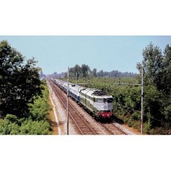 FS, Locomotiva Elettrica E 646 013 I serie, livrea verde magnolia/grigio nebbia, pantografi tipo 42U, epoca III-IV - RIVHR2738S