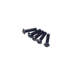 Cap Head Mechnical Screw(4*16) 8P - RKO07170