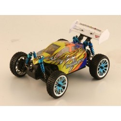 1/16 Auto radiocomandata brushless Buggy 4wd - RKO1450-01