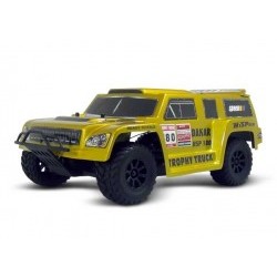 1/18 R/C Trophy Truck RTR - RKO4400-01