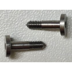 Guide steel screws (x2)  - RVSRS210S