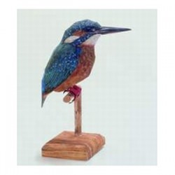 Kingfisher in scala 1:1 - SRBA51