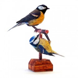 Great Titmouse and Blue Titmouse in scala 1:1 - SRBA52