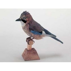 Jay in scala 1:1 - SRBA53