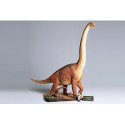 DIORAMA BRACHIOSAURUS - TAM60106