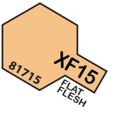 MINI 10ml XF-15 Flat Flesh  - TAM81715