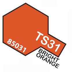 SPRAY Bright Orange - TAMTS31
