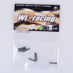 Pan head screw M2.5*16 - WLT12428-0105