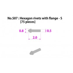 Metal rivet series No.S07 Hexagon rivetswith flange-S 75 pcs