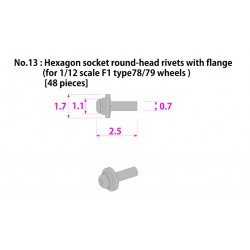 Metal rivet series No.13 Hexagon socket round head rivets with flange 48 pcs