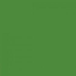 COLORE SMALTO GREEN da 15 ML. - MMA1524P
